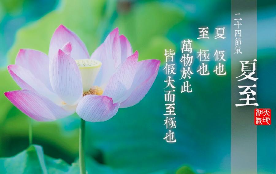 【海外诗译】精品双语朗诵《夏至小诗三首》作者｜郑相豪、英译｜静好、审译&朗诵｜薇薇（图3）