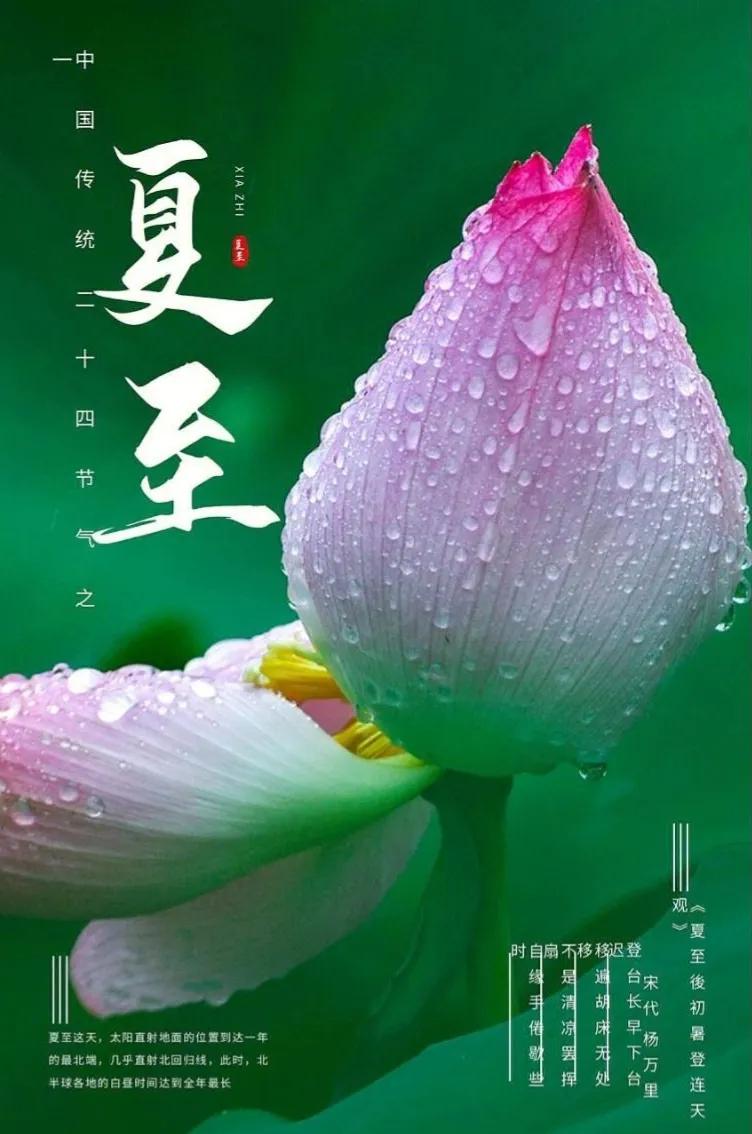 格律诗词·甲辰夏至四首（文/天宫玉兔）……莲叶之珠文学社（图5）