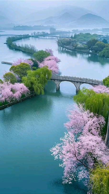 【题图诗】作者:听月画雨诗社诗友【听月画雨诗社】（图15）