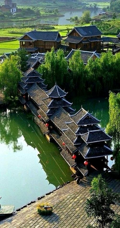 【题图诗】作者:听月画雨诗社诗友【听月画雨诗社】（图36）