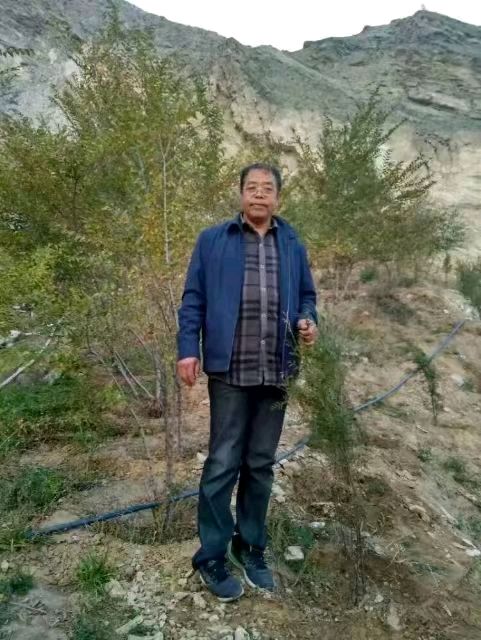 《九江文学社：北京头条》《名家名篇》《假如》 文/朱書田（图6）