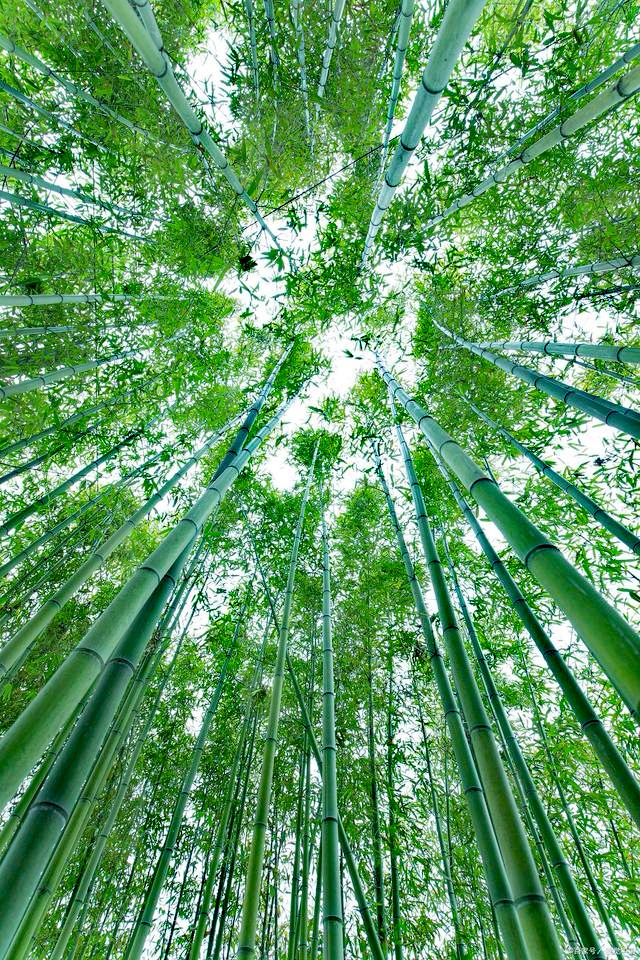 人生是一次旅行～诗||李耀文（图14）
