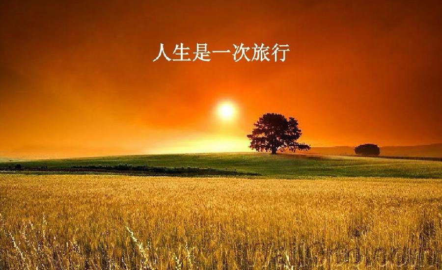 人生是一次旅行～诗||李耀文（图13）
