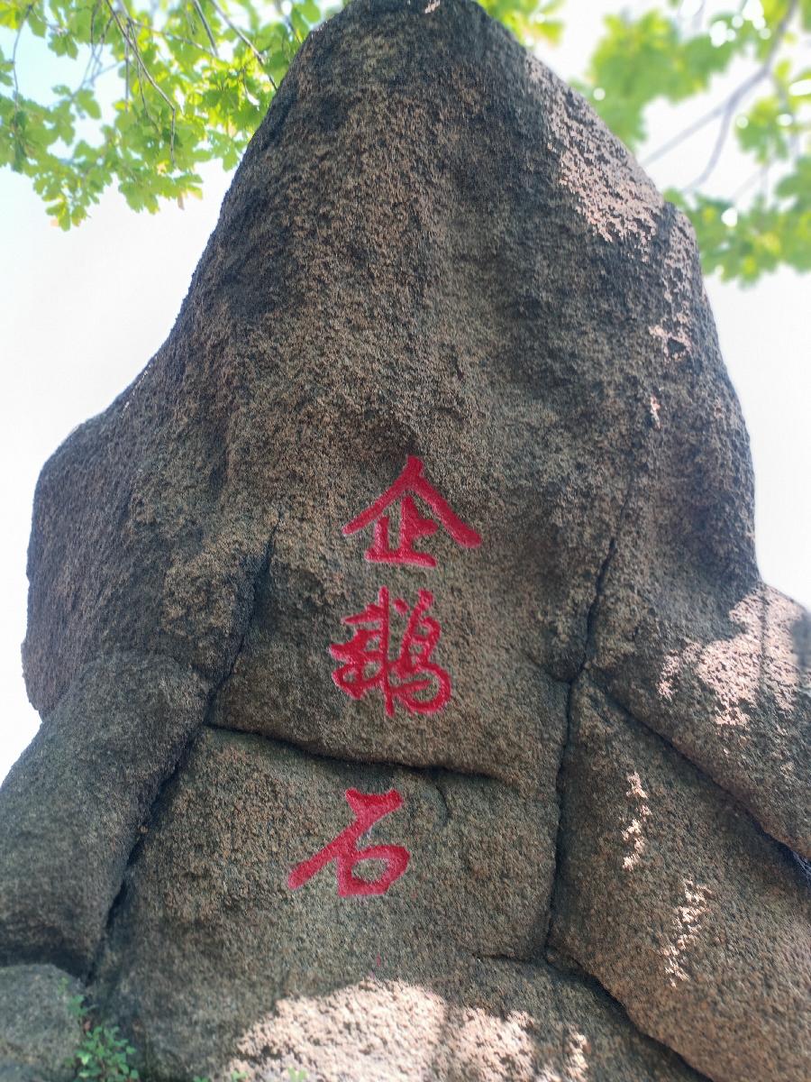 《沁园春》大美朱雀行（图3）