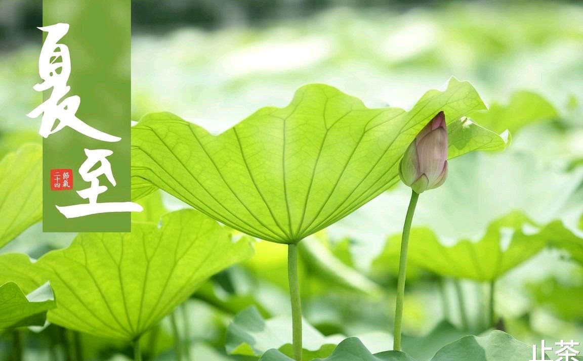 …夏至时节，诗四首… 文／王铁忠（图5）