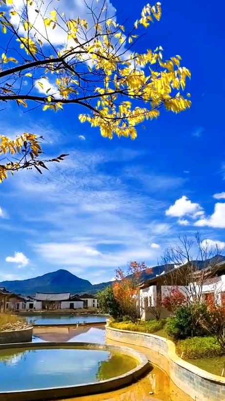 【新山东文学社】《梦回故乡》作者/张秀祥 主播/红叶(图7)