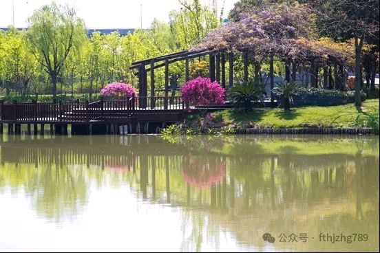 藏头诗:清凉入夏助养生文/王俊杰(天津)（图3）