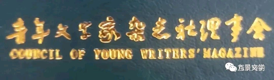 《青年文学家理事会沧浪分会》优秀诗歌欣赏《墙角小黄花》文/宝利丰(南京）（图8）