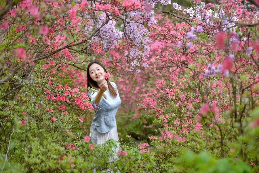 【北京头条】分享（南阳）优秀诗人贾玉欣《七律·花赠郎君》请欣赏（图5）