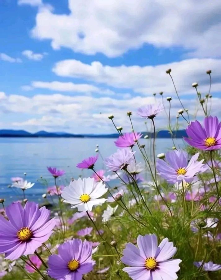 《选择在选择之中》文/林水火（福建）（图3）