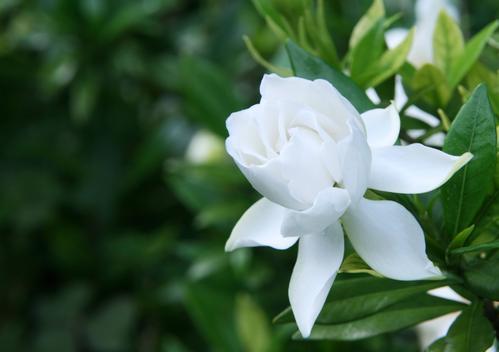 东方书剑的《【仙吕·赏花时】车到忻州古城》