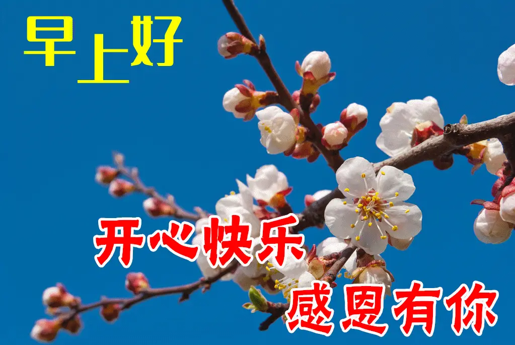 【中华好诗词】分享（陕西扶风）诗人李周省老师《早上好》两首请欣赏（图7）