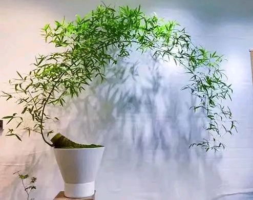 《你的人生我只借一程》