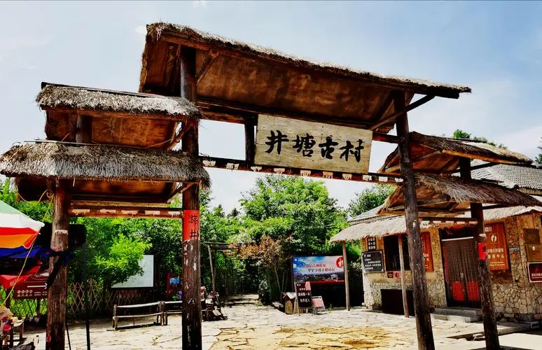 【新山东文学社】《塘井古村,有一杯清茶相约》作者/农夫 主播/天空(图3)