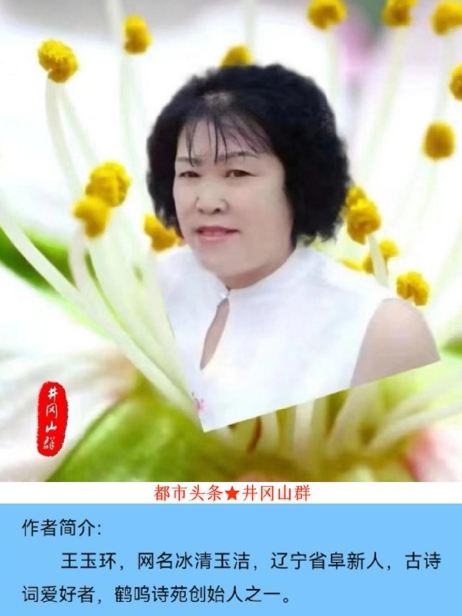 七言排律-七一抒怀～诗||王玉环（图16）