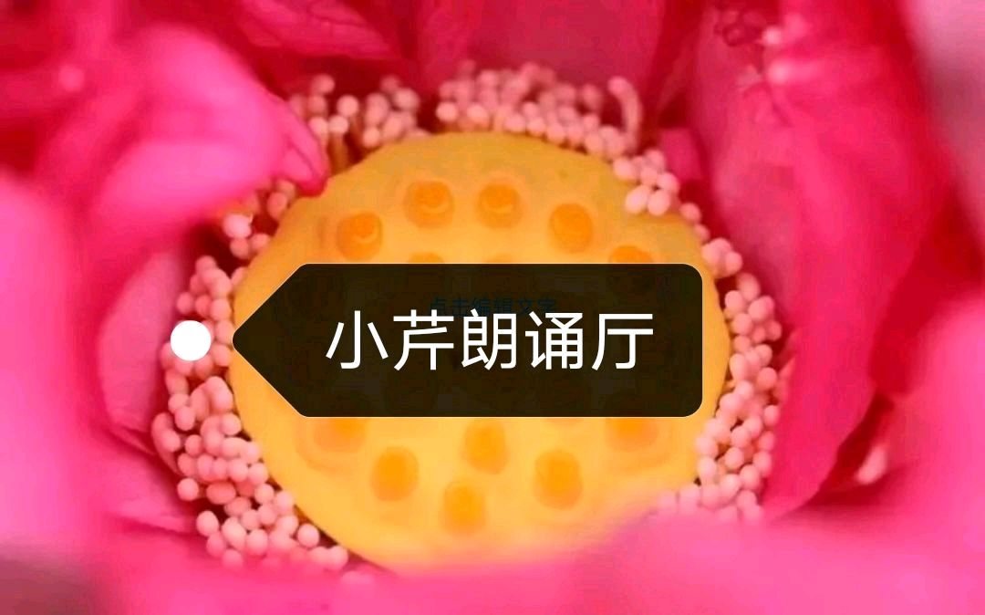 【小芹朗诵厅】作者/张建民 组诗五首 主播/赵淑芹（图2）