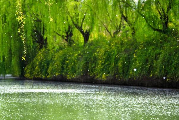 参评▪磁与电力（组合）诗||郝文泉（图14）