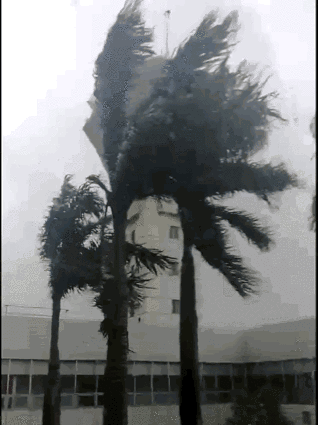 【荣耀中国】次韵阎克敏、董彤老师《夏至日雨后游园漫步》郭妙灵（图3）