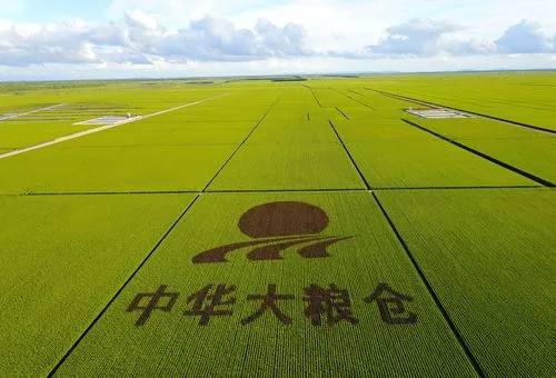 张淑华获奖作品选‖巴彦诗词楹联协会【727】（图11）