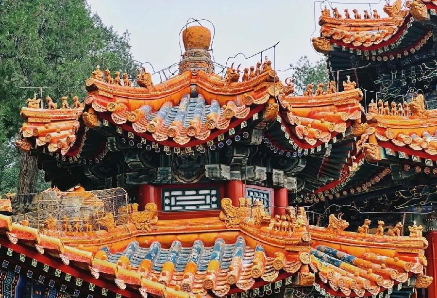 【枫雅汇看图约诗】第342期《颐和园》(图5)