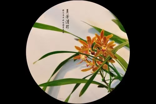 贺《九畹兰蕙（全球汉诗·江西）》创刊许碧霞（文/许碧霞）……莲叶之珠文学社（图3）