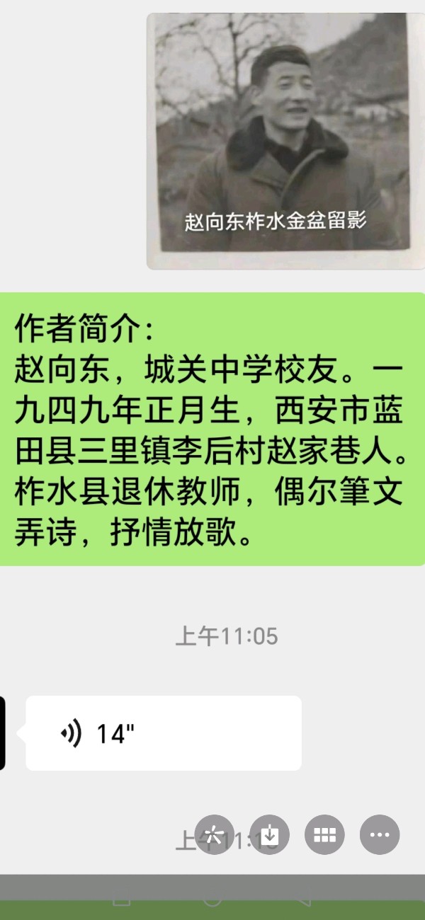 赞村主任王富平