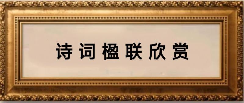 薛有毅诗词联欣赏/中华诗艺社黑龙江分社推荐（图4）