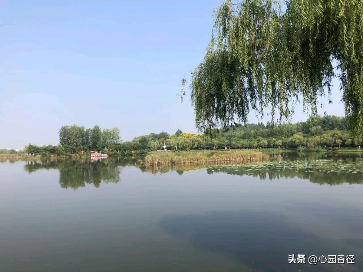 《诗人刘文波古诗七律鉴赏》作者:刘文波 配乐:《诗画音乐》 [中国现代诗歌文化传媒]（图6）