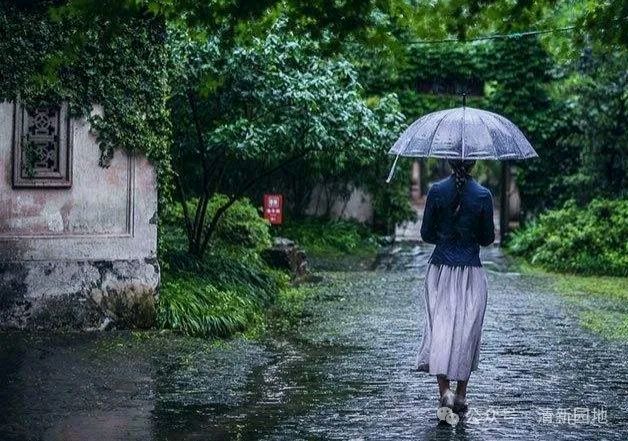 《六月再见，七月珍重！》文/梁灼安（图3）