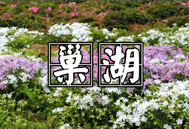 【神都诗社】第092期《巢湖》(图5)