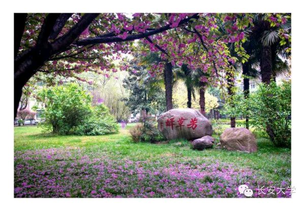 《为一树落花停泊》作者:回泉山人 诵读:鸿文 [中国现代诗歌文化传媒]（图5）