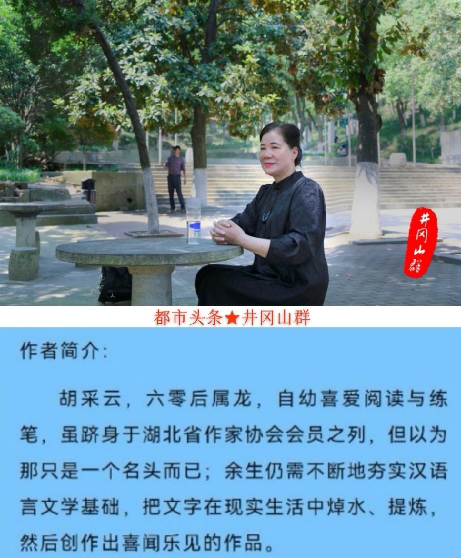 庆七一 正党风 忆峥嵘岁月～文||胡采云（图20）