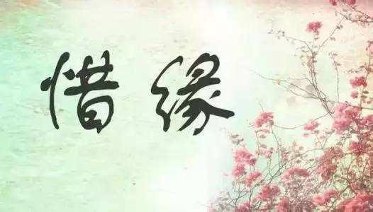 【海外诗译】精品双语朗诵《缘》作者｜绿意盎然、英译｜静好、审译&朗诵｜薇薇（图5）