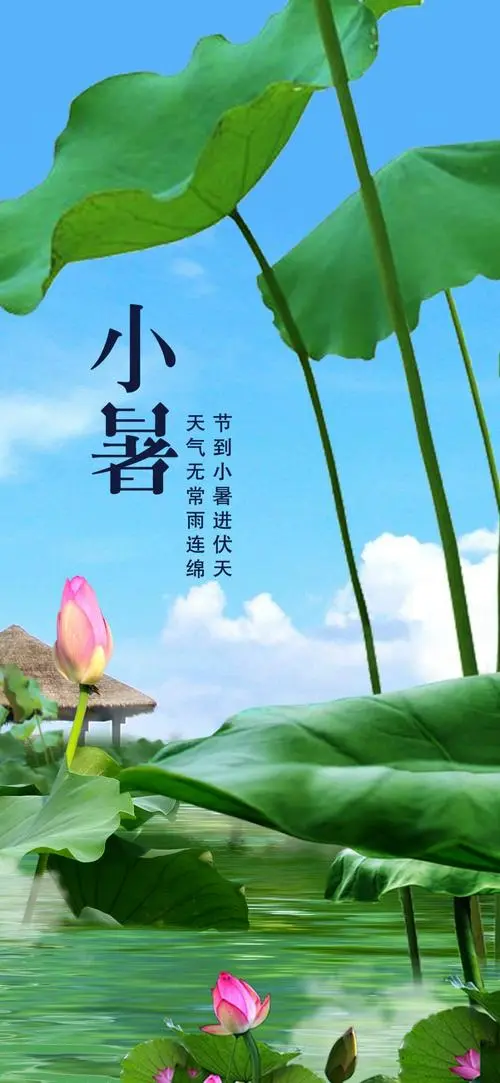 欣赏唐增虎老师律诗.小暑（图2）