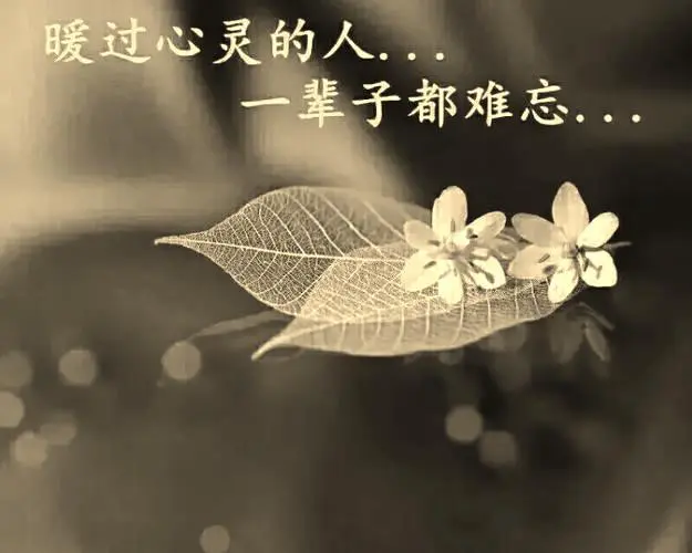 欣赏徐志赓老师散文诗.思念（图8）