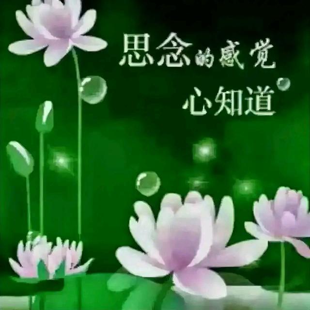 欣赏徐志赓老师散文诗.思念（图9）