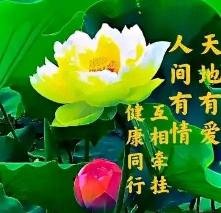 欣赏徐志赓老师散文诗.思念（图10）