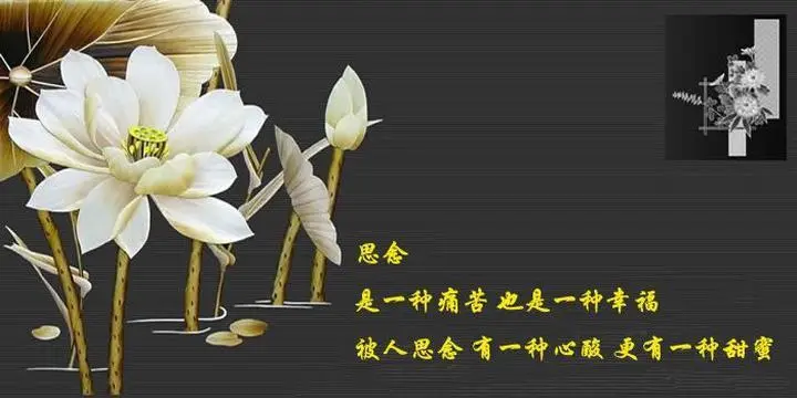 欣赏徐志赓老师散文诗.思念（图5）