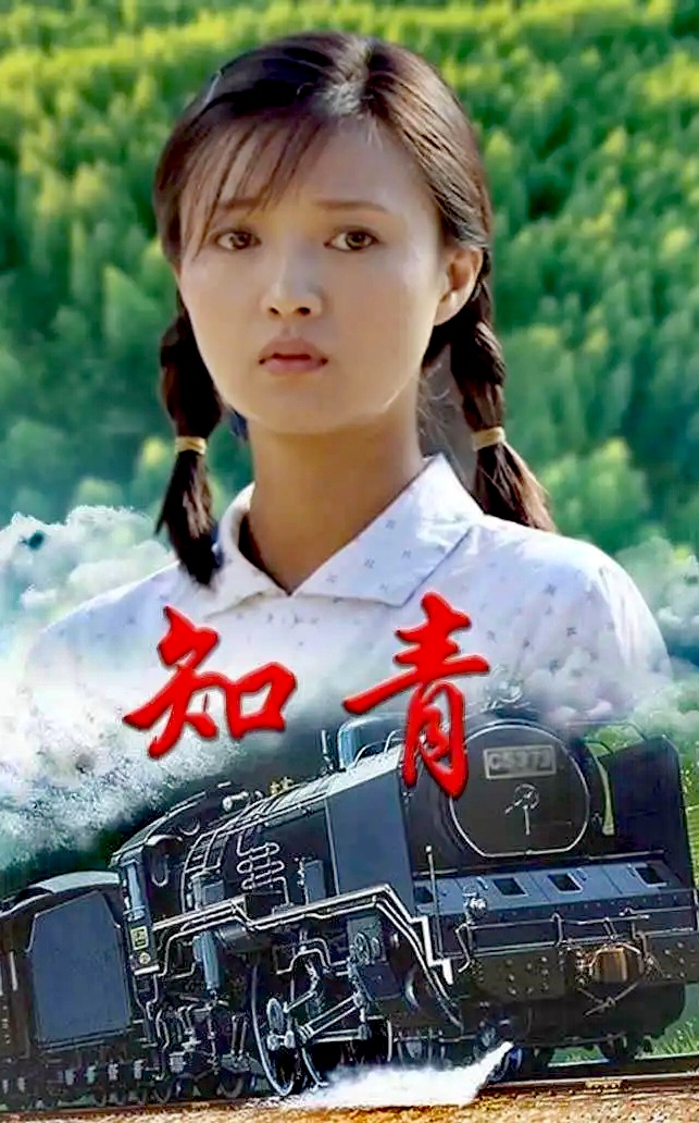 已参评▪知青情～诗||芳菊（图8）
