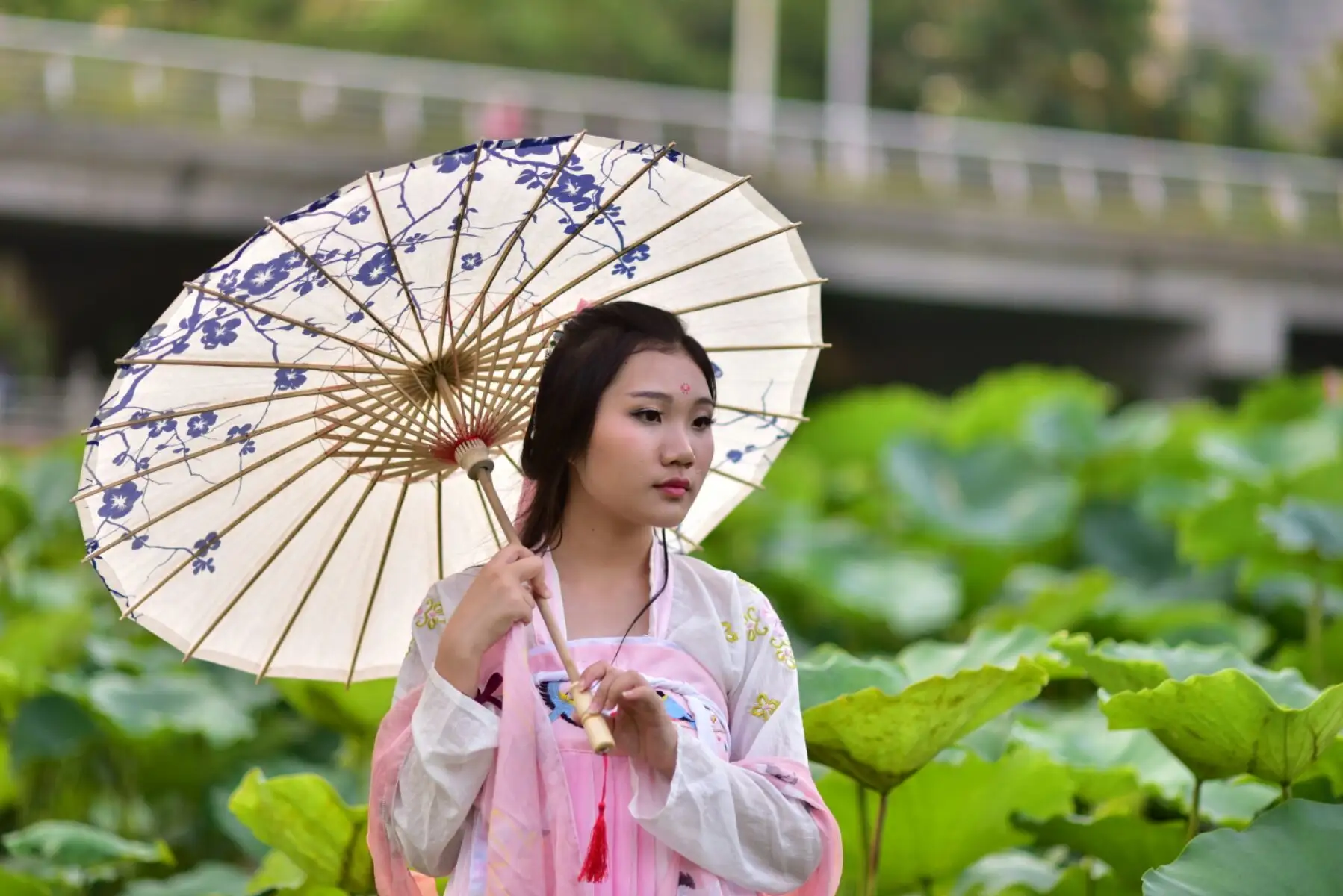 【荣耀中华（赏评）】《雨敲心窗》 文/枫舞清秋