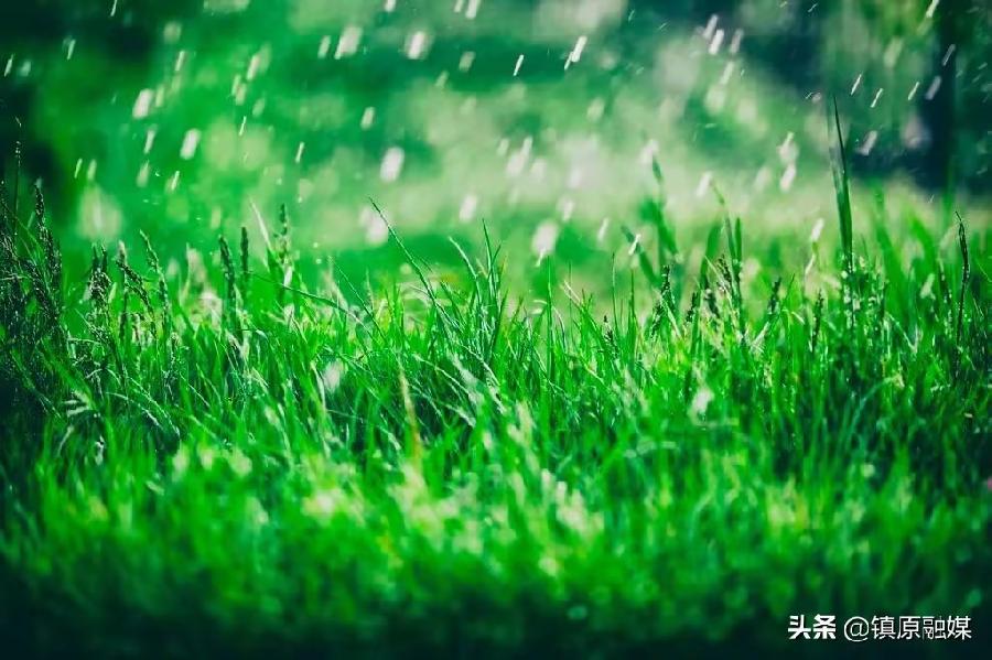 夏阴赋/夏雨赋/圆明园赋/关于肺病问题的分析(文/孙述考)……莲叶之珠文学社(图4)