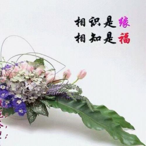 《同题诗*一往情深》作者:听月诗社诗友（图12）