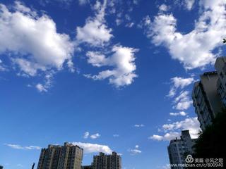 《同题诗*一往情深》作者:听月诗社诗友（图14）