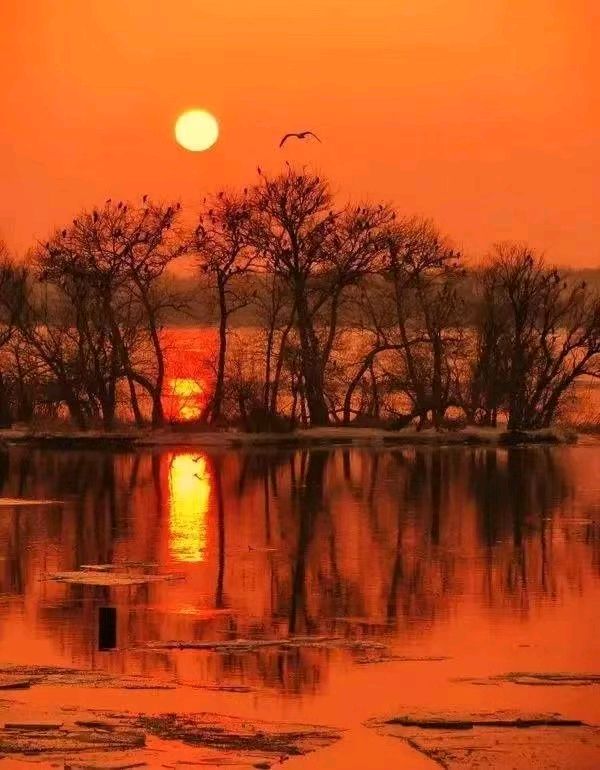 【荣耀中国】夜雨草田（山西）（图8）