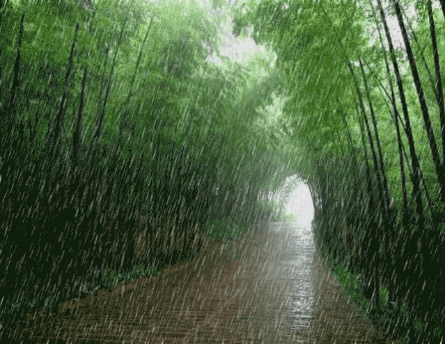 【都市文坛撷英】现代诗 雨夜冥思文/虞慧（江西）（图3）