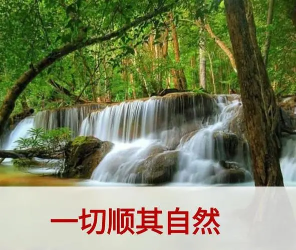 金子朗诵《金句》专集之二十一；收集：金华(李敬党)；编辑：开心快乐【运河之春】(第166期)（图7）