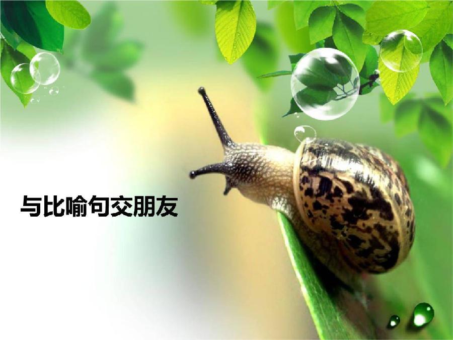 金子朗诵《金句》专集之二十一；收集：金华(李敬党)；编辑：开心快乐【运河之春】(第166期)（图10）