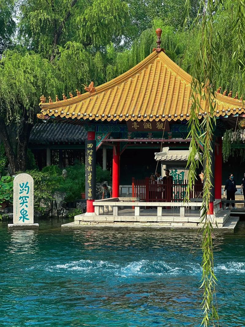 【新山东文学社】《山东》作者/王建生 主播/清风（图5）