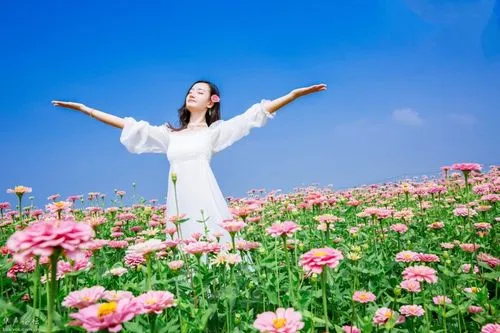 【荣耀中华】蜻蜓与莲荷 (组诗35首) 文/湖北 蓝天风(图31)