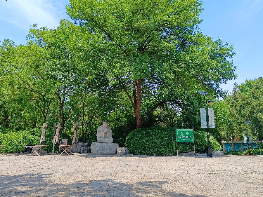 【荣耀中华】蜻蜓与莲荷 (组诗35首) 文/湖北 蓝天风(图7)
